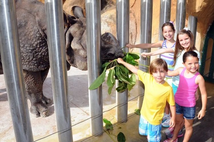 Accessible Miami: Top Spot for All Travellers